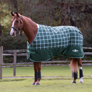 Saxon Defiant 1200D Standard Neck Lite - (0g)